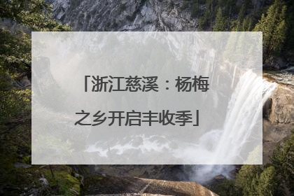 浙江慈溪：杨梅之乡开启丰收季